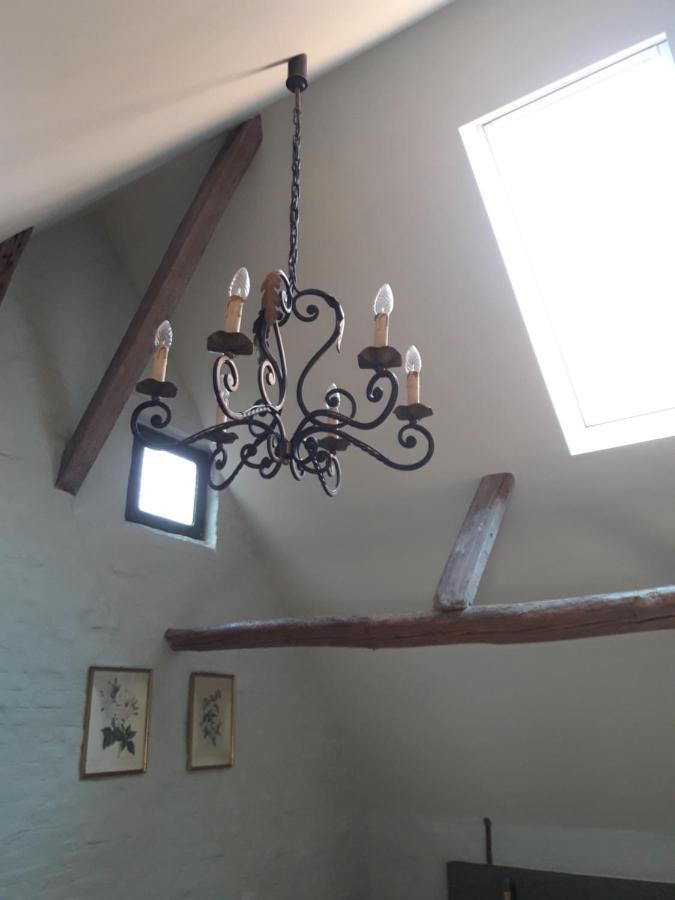 Butterfly Bed & Breakfast Bruges Exterior foto