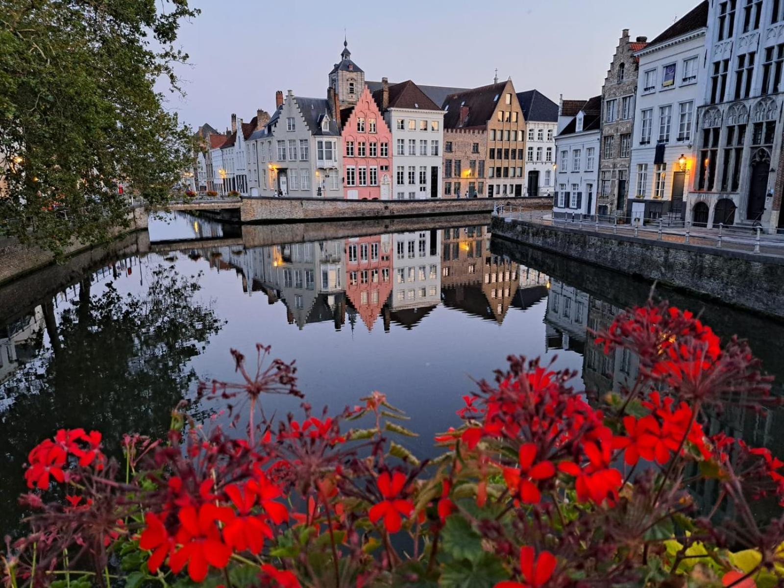 Butterfly Bed & Breakfast Bruges Exterior foto